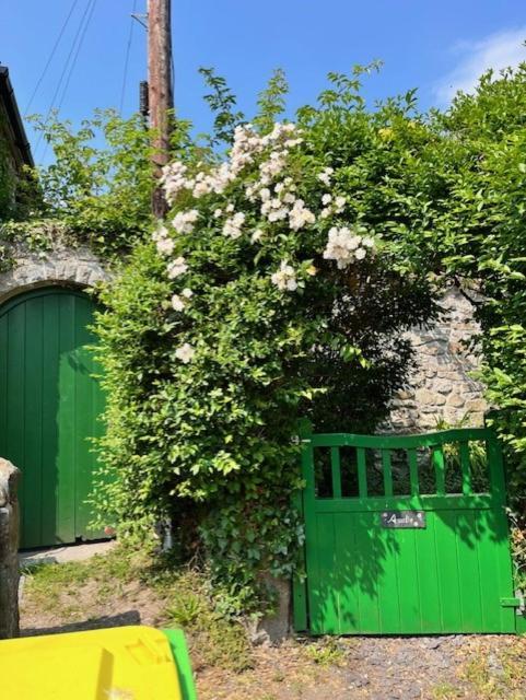 Amelie Cottage Beaumaris Extérieur photo